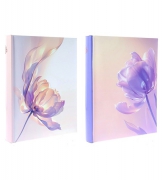 Фотоальбом 10x15/200 B46200SDREAMFLOWER