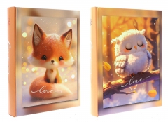 Фотоальбом 10x15/200 DPH46200LOVECUTE