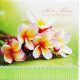 Фотоальбом Flower (Квіти) 20 магніт.листів (28х31см) в коробці 3вида (Julia)